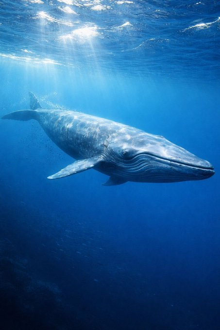 Tak berjudul111_20250515231314